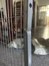 京东快递大号鸡笼家用室外镀锌防雨防黄鼠狼自动清粪鸡鸭鹅猫狗笼 【镀锌加粗方钢】150*58*62cm【侧开门天窗】 实拍图