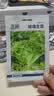 北蔬 玻璃生菜种子苗四季播家庭阳台盆栽菜籽 玻璃生菜种子2000粒x2包 实拍图