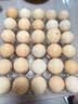 【烧烤季】长茄子约600g 实拍图
