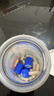 Life Space益倍适中老年益生菌胶囊300亿活菌180粒澳洲进口【大顺礼盒】 实拍图