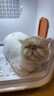 聚宠宠物猫咪烘干箱自动狗狗吹风机烘干家用洗澡拉毛吹毛机71升 智能生活APP版（AI管家7年保修） 实拍图
