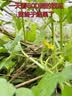 笛莎（DEESHA）【7A抑菌棉】女童春夏短袖五分裤家居服套装宝宝两件套睡衣 实拍图