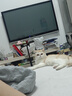 芸灵硫酸新霉素滴眼液宠物用猫咪狗眼发炎流泪泪痕结膜消炎眼药水8ml 实拍图