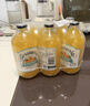 宾得宝（Bundaberg）新品含气不知火柑橘饮料375ml*6玻璃瓶装 澳洲出游丑橘果汁气泡水 实拍图