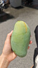 贝肽斯宝宝衣服春夏季薄款纯棉婴儿睡衣防踢被家居空调儿童睡裙连体衣 实拍图
