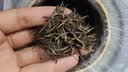 武夷欢茶叶礼盒装红茶金骏眉高端礼品领导长辈新茶特级正品300g 实拍图