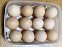 佳帮手冰箱保鲜盒食品级抗菌收纳盒专用密封水果蔬菜冷冻盒1000ml3只装 实拍图