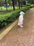 牧萌儿童雨鞋男童女童防水立体宝宝防滑耐磨卡通雨靴 粉色独角兽 18码 实拍图