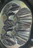 ACEBEAM  E75远射版手电筒强光充电长续航小型便携超亮远射家用户外登山 经典版-黑色CREE XP-LR冷白 圆形平头LED 聚光超亮远射 实拍图