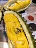 京鲜生马来西亚D197猫山王榴莲4.5-5斤保5房树熟液氮锁鲜新鲜水果礼盒 实拍图