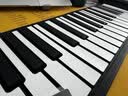 特伦斯手卷钢琴便携式88键专业版加厚编曲键盘成人口袋电子钢琴HQA88 88键黑色标准版 实拍图
