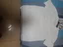 班尼路（Baleno）短袖t恤男夏季新中式宽松休闲纯棉透气衣服男士百搭五分袖上衣 实拍图