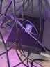 普联（TP-LINK） 24口全千兆交换机 非网管T系列 企业级交换器 监控网络网线分线器 分流器 TL-SG1024DT 实拍图