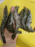 禧美海产鲜冻大号黑虎虾 净重3斤装 45-60只/盒 单冻大虾 海鲜 烧烤食材 实拍图