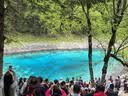 Rtako【2026新款-口袋杆1.35米】迷你自拍杆手机三脚架旅行小巧便携式自拍神器360度旋转多功能演唱会 【黑1.35米】收纳18cm | 一丢即开 【一丢即开 | 双层脚架加固】一年质保 实拍图