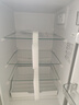 上菱183升两门小冰箱小型家用出租房小户型办公室宿舍双门电冰箱冷藏冷冻两用1-2人以旧换新BCD-183D 实拍图