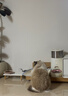 自然光环Halo猫粮成猫 美国进口 纯鲜肉 美毛护肤成猫粮鸡肉味6磅*2 实拍图