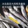 海名威冷冻冰岛多春鱼 净重900g/袋 含籽率99% 海鲜鱼类 生鲜 野生海捕 实拍图