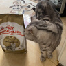 皇家猫粮10kg英短猫粮成猫粮布偶美短波斯虎斑蓝猫国产全价猫粮通用粮 ASA31美国短毛猫成猫猫粮2kg 实拍图