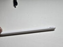 Apple/苹果 Pencil(USB-C) 磁吸触控笔手写笔苹果笔电容笔iPad笔 适用iPad 11/mini/Pro/Air 实拍图