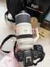 佳能（Canon） RF100-500mm F4.5-7.1 L IS USM超远射变焦全幅微单镜头 RF100-500mm F4.5-7.1 L IS USM 官方标配【不含多种滤镜 推荐购买套餐】 实拍图