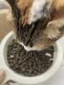 弗列加特猫粮 全价鲜肉天然粮 肠道养护配方 成猫猫粮鸡肉100g 实拍图