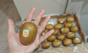 佳沛（zespri）新西兰 阳光金果25-27粒原箱特大果单果124-146g 猕猴桃水果礼盒 实拍图