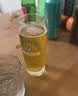 青岛啤酒（TsingTao）清爽拉格 经典 原红金桶 5L*1桶 整箱礼盒装 实拍图