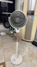 艾美特（AIRMATE）【全屋循环】电风扇空气循环扇大风力家用AI语音遥控卧室一级能效直流变频安静轻音落地扇 SRD259 实拍图