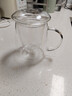物生物（RELEA）玻璃杯男女士茶水分离杯耐高温办公泡茶杯带把高硼硅水杯花茶杯子 实拍图