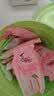 双汇零糖无抗鸡肉肠400g无抗生素即食鸡肉火腿肠香肠零食0糖泡面伴侣 实拍图