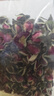 玫瑰花茶大全墨红玫瑰金边玫瑰平阴重瓣玫瑰苦水玫瑰法兰西玫瑰 金边玫瑰10克袋装 实拍图