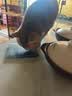 鲜朗主食猫条磷虾三文鱼油营养全价成猫幼猫湿粮无添加非零食补水湿粮 混合口味【12g/支】 48支【囤货装】 实拍图