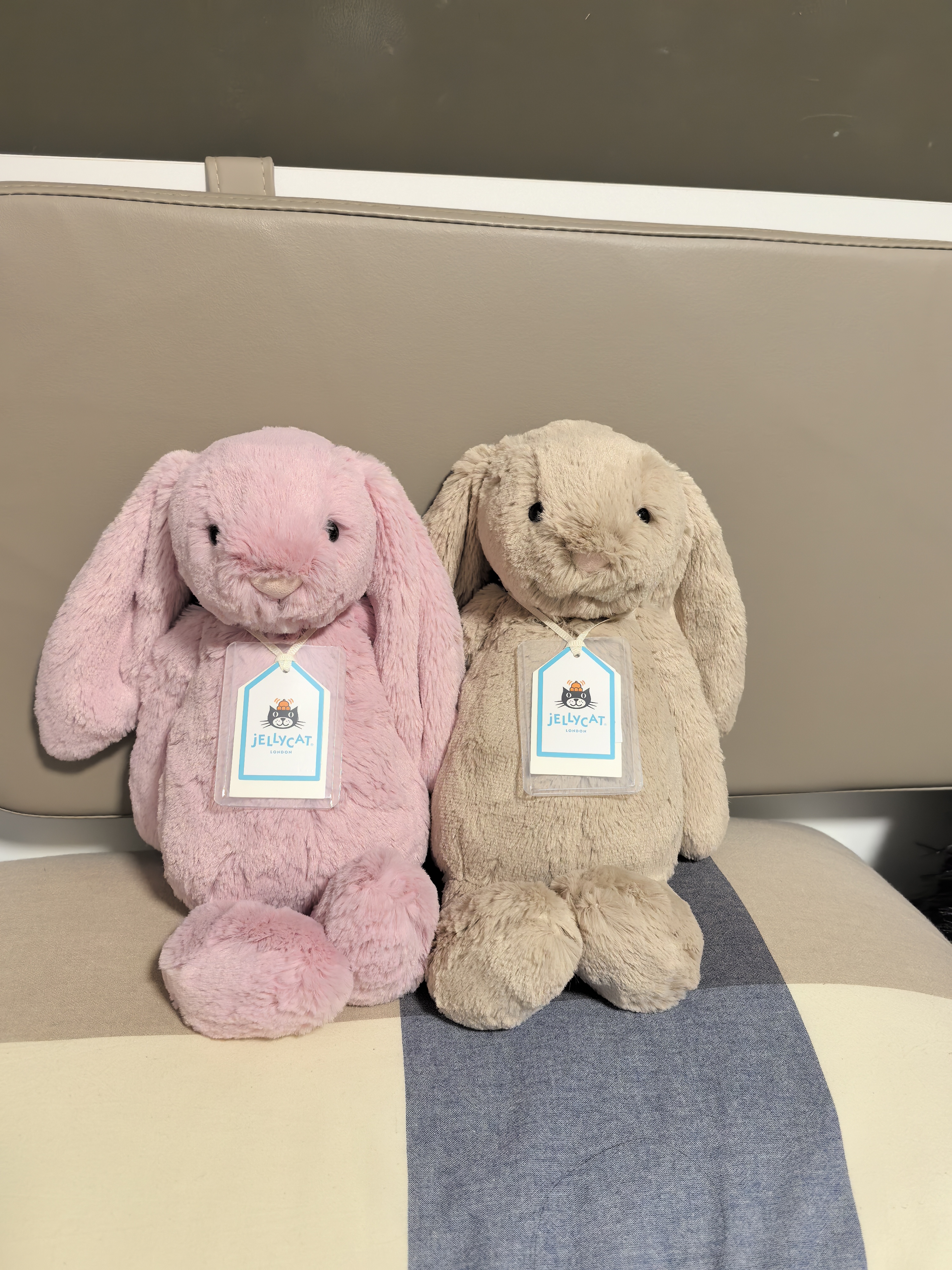 Jellycat害羞乳白色邦尼兔动物毛绒玩偶安抚玩偶娃娃送礼生日礼物 害羞粉色郁金香邦尼兔 Medium 实拍图