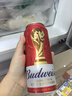 百威【哈兰德同款】世界杯珍藏版啤酒【40周年限定】500ML*12听礼盒 实拍图