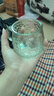 杯子玻璃杯家用加厚防烫咖啡杯学生办公室喝水杯 小熊杯 260ml1只  优质玻璃 实拍图
