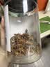 川珍八角150g【配料干净】广西大料茴香烧炖卤肉调料家庭装佐料香辛料 实拍图