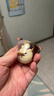 星球杯金桶510g 盲袋小玩具休闲儿童零食惊喜盲盒玩具零食蘸酱饼干款 实拍图