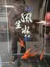 冷水鹦鹉鱼招财鱼血鹦鹉红金鱼冷水观赏鱼活体鱼苗好养耐活发财鱼 冷水血鹦鹉5条【13-15cm】 实拍图