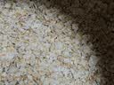 桂格（QUAKER）即食燕麦片1478克 营养早餐 膳食纤维 零添加白砂糖 实拍图