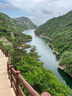 苏菲超熟睡超薄裸感肌超长量多夜用卫生巾42cm8片加大姨妈巾自营官方 实拍图