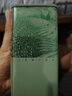 日照绿茶2026新茶碧螺山绿色认证茶叶浓香板栗香250g生态礼盒山东特产礼品 实拍图