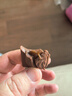 歌帝梵（Godiva）经典大师焦糖牛奶巧克力条 32g 婚礼喜糖 伴手礼 休闲零食 糖果 实拍图