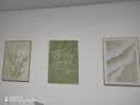 好久不见现代简约客厅装饰画奶油清新绿植三联组合壁画沙发背景墙挂画 实拍图