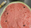 健邦客黄柏涂剂溶液皮肤瘙痒草本萃取消毒擦剂湿敷专用湿疹非复方  实拍图