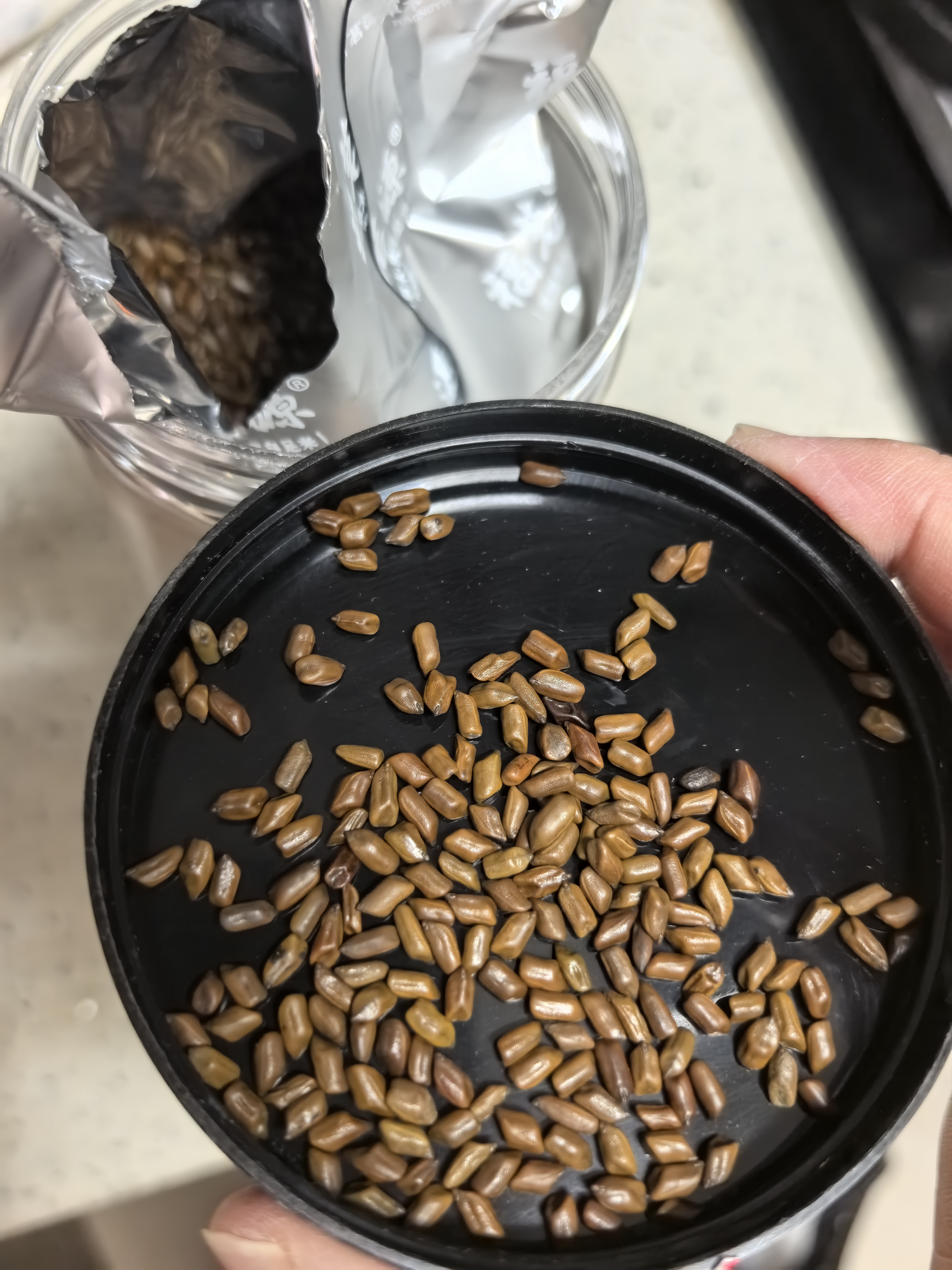 福茗源茶叶 养生茶 决明子茶500g 精选饱满大粒炒制熟决明子花草茶罐装 实拍图