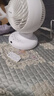 爱丽思（IRIS） 爱丽思空气循环扇风扇遥控电风扇落地扇家用小熊猫电扇自动摇头冷风扇空调扇 BD15TEC(5档 DC直流电机 荐 ） 实拍图