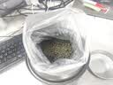 承道铭茶叶绿茶碧螺春2026新茶特级明前浓香型嫩芽送礼茶叶礼盒500g 实拍图