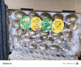 佳沛（zespri）新西兰 金果25-27粒特大单果124-146g 端午礼物水果礼盒 猕猴桃 实拍图