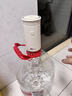 小熊（Bear）桶装水抽水器饮水机取水器电动上水器压水器自动抽水泵YSJ-F06Q1 实拍图